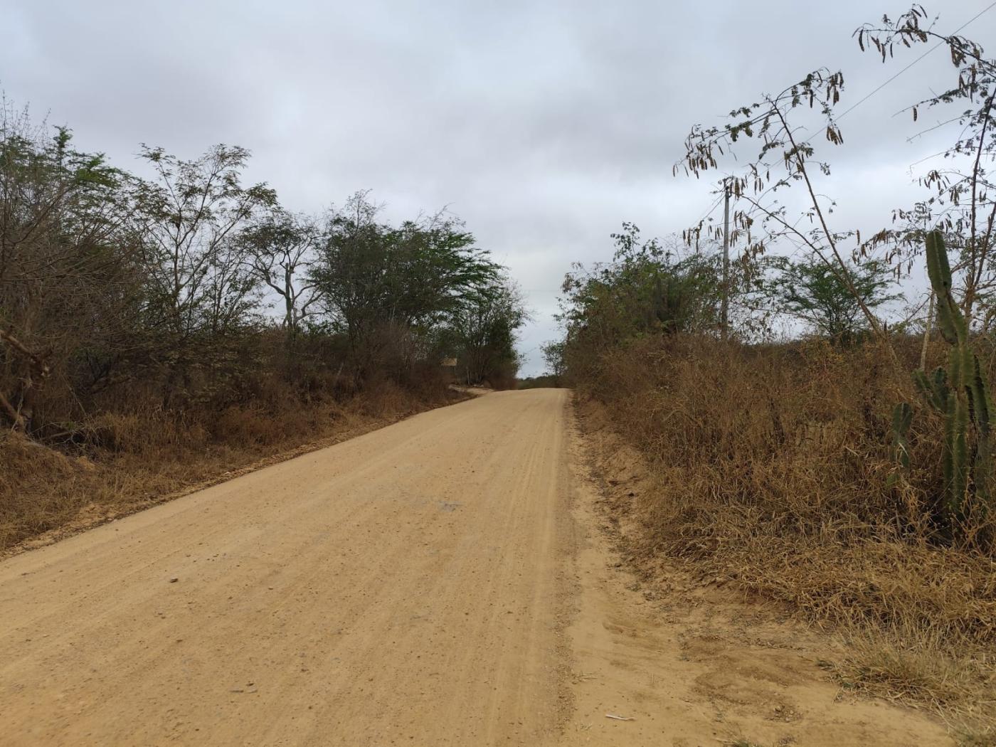 Terreno à venda, 2500m² - Foto 4