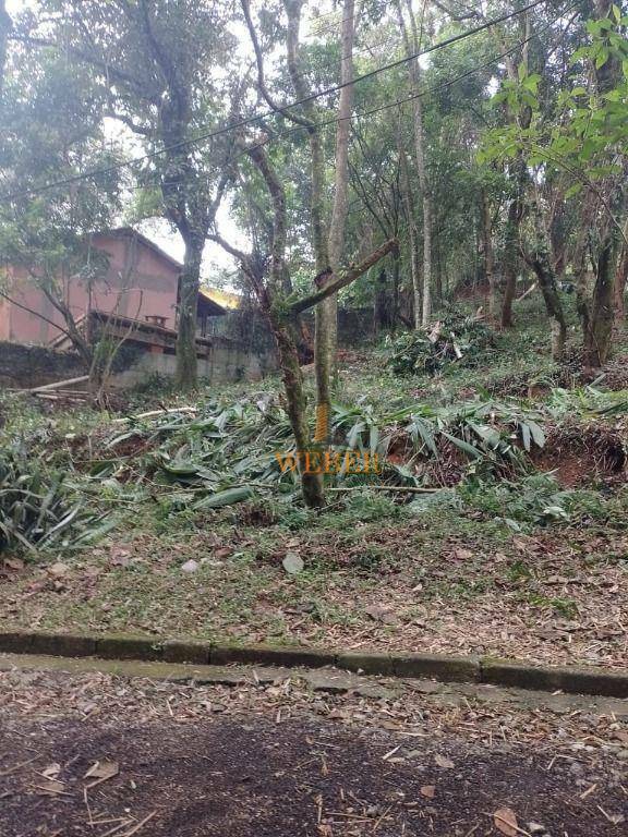 Loteamento e Condomínio à venda, 506M2 - Foto 6