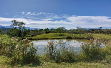 Fazenda à venda com 3 quartos, 387200m² - Foto 13