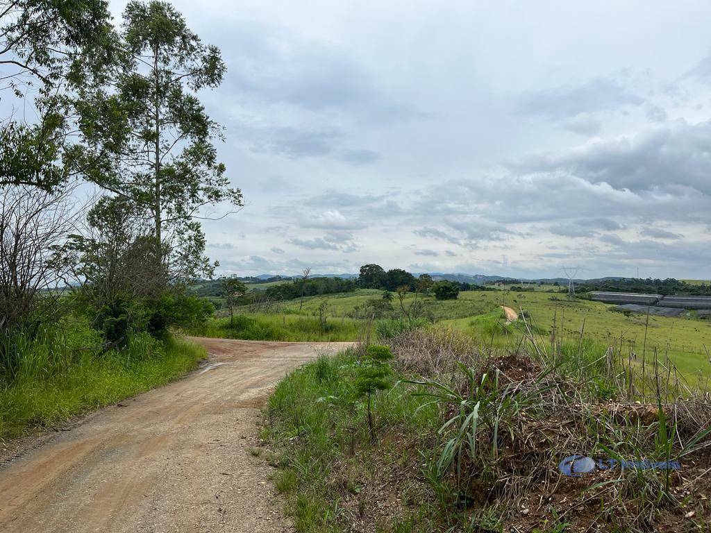 Terreno à venda, 1000M2 - Foto 6