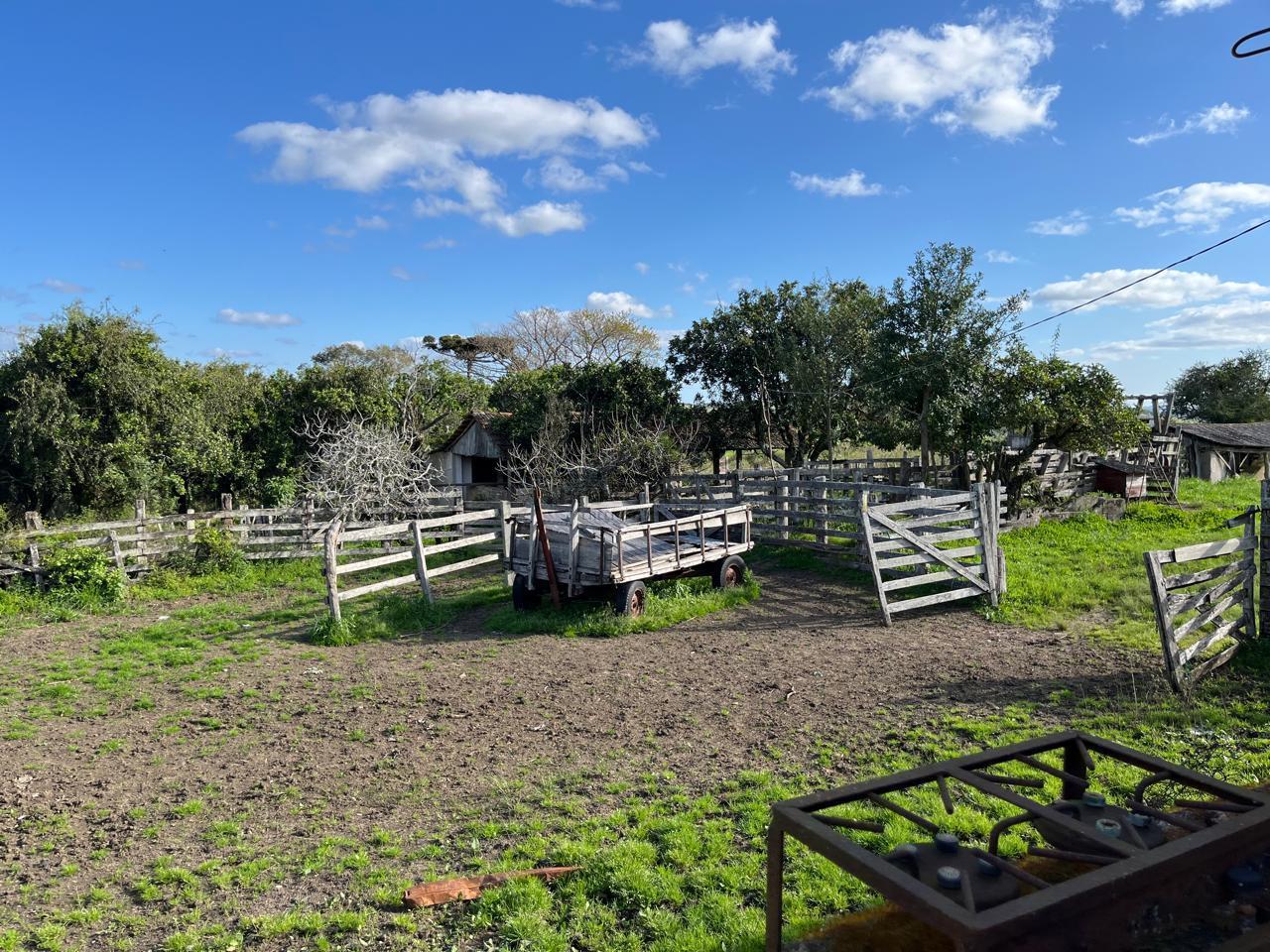 Fazenda à venda, 900m² - Foto 10