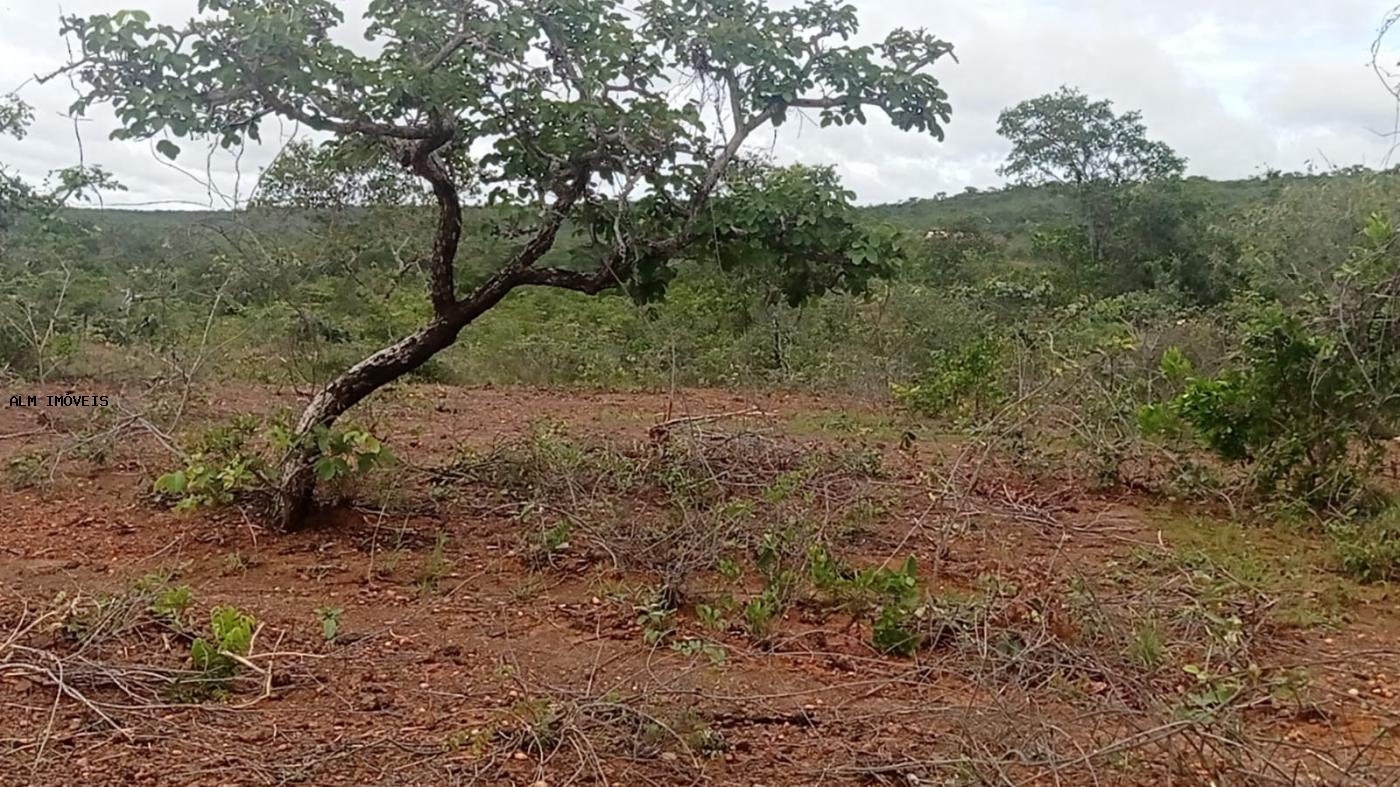 Fazenda à venda, 26000m² - Foto 9