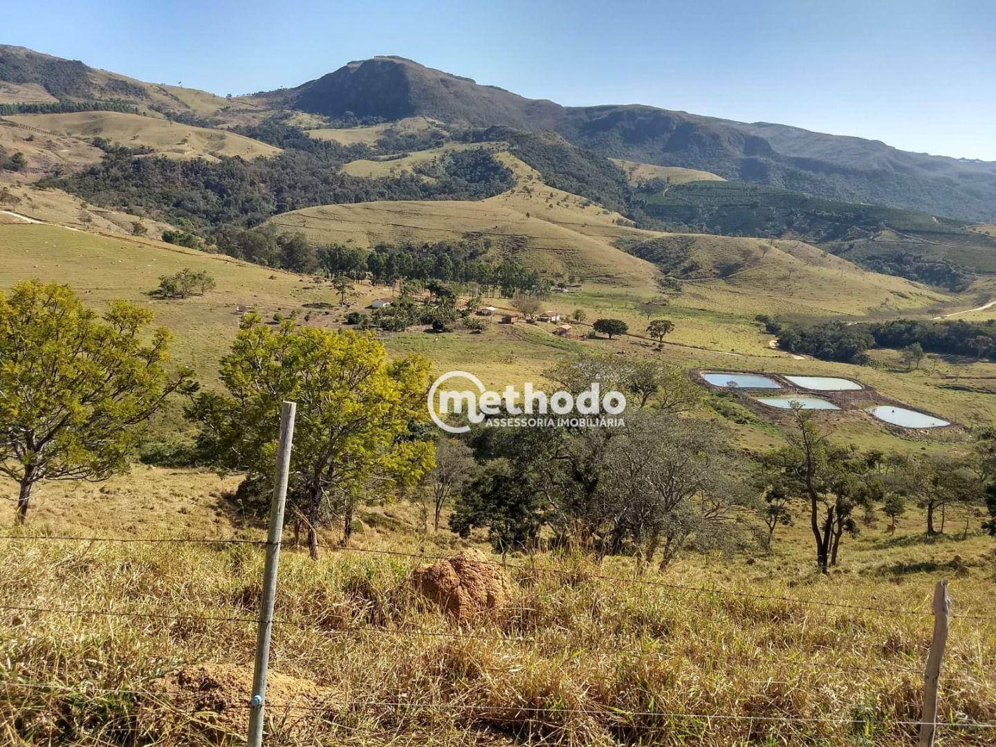 Fazenda à venda com 3 quartos, 123m² - Foto 14