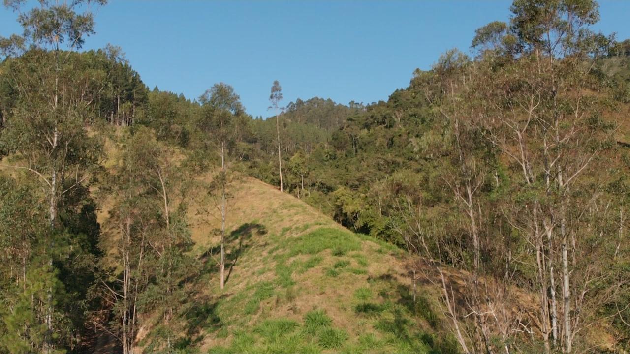 Fazenda à venda com 3 quartos, 140000m² - Foto 22