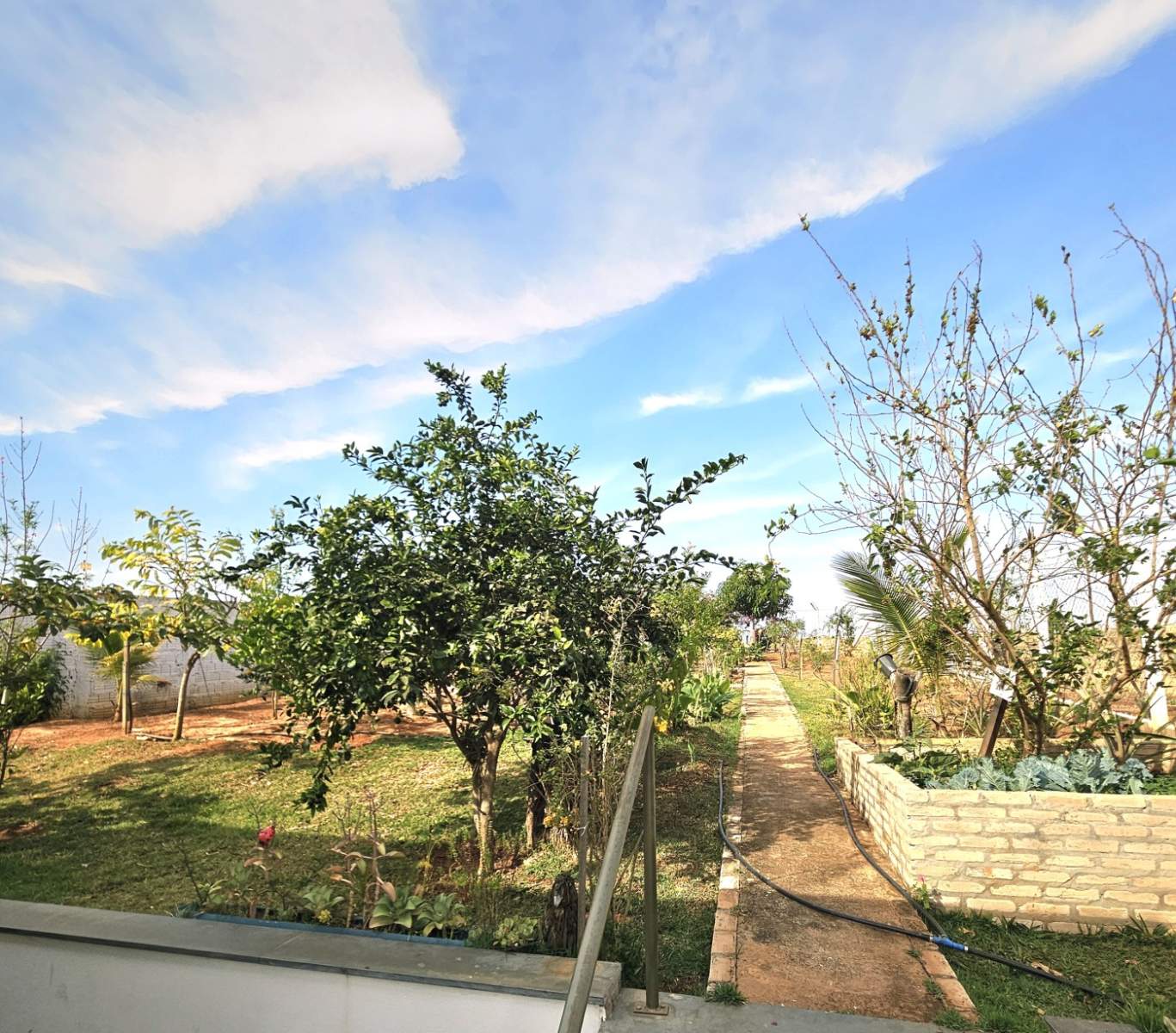 Chácara, 2 quartos, 900 m² - Foto 4