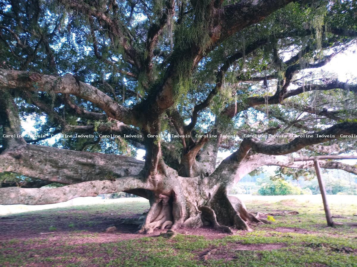 Fazenda à venda, 160000m² - Foto 28