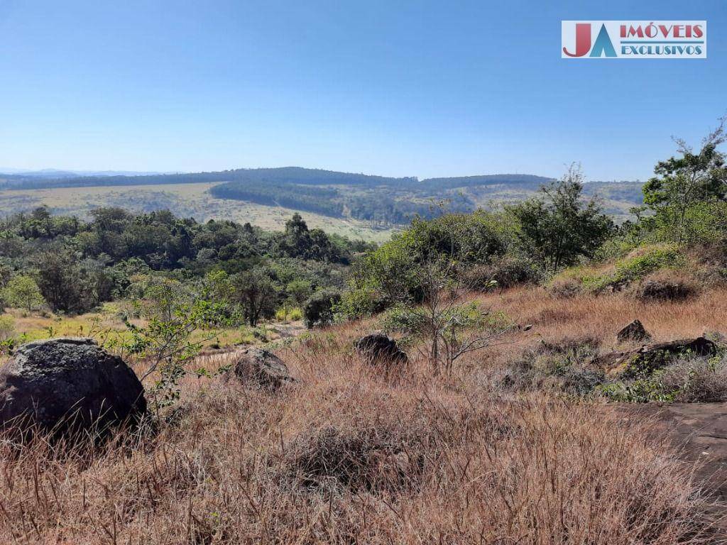 Sítio à venda com 1 quarto, 24500M2 - Foto 1