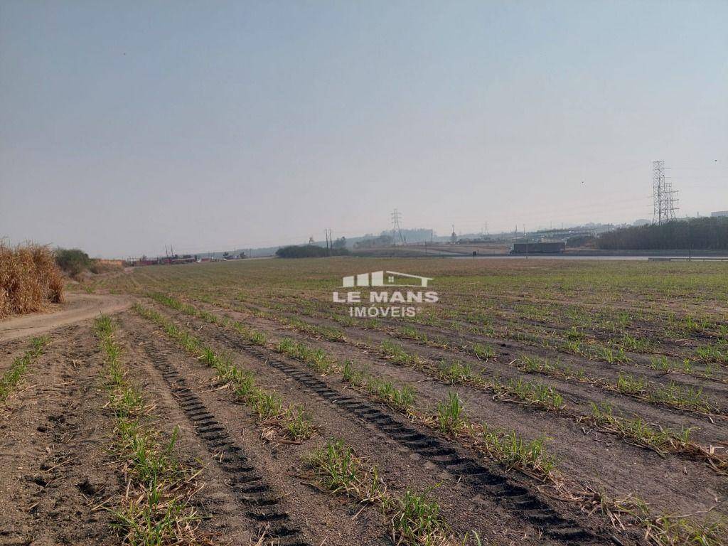 Terreno, 7 hectares - Foto 1