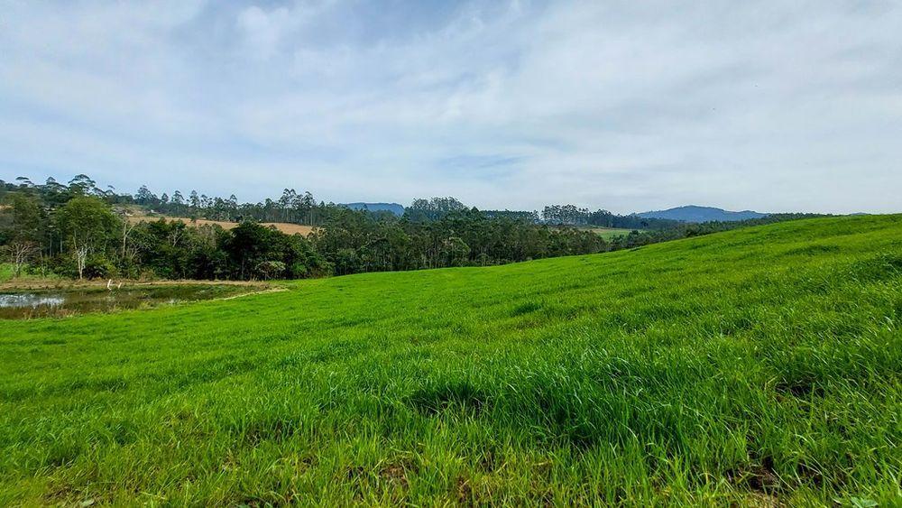 Fazenda à venda com 3 quartos, 205000m² - Foto 34