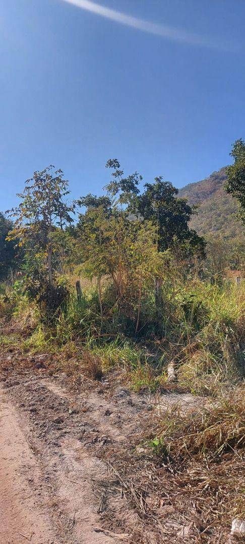 Terreno à venda, 80000M2 - Foto 3