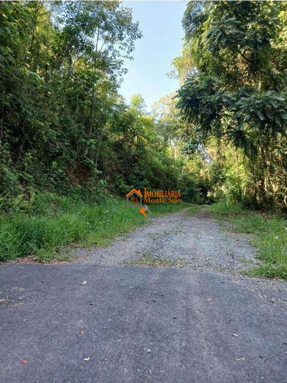 Terreno, 1081 m² - Foto 7