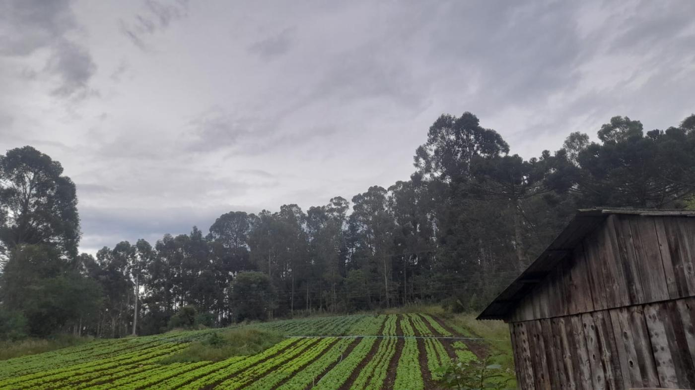 Fazenda à venda, 21m² - Foto 12