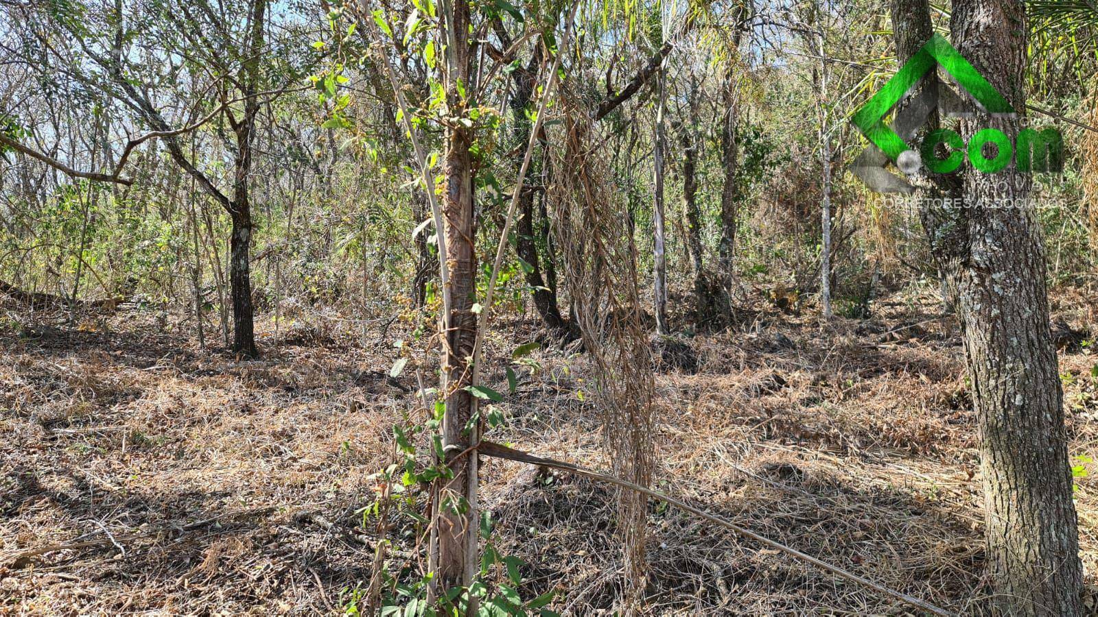 Loteamento e Condomínio à venda, 3600M2 - Foto 26