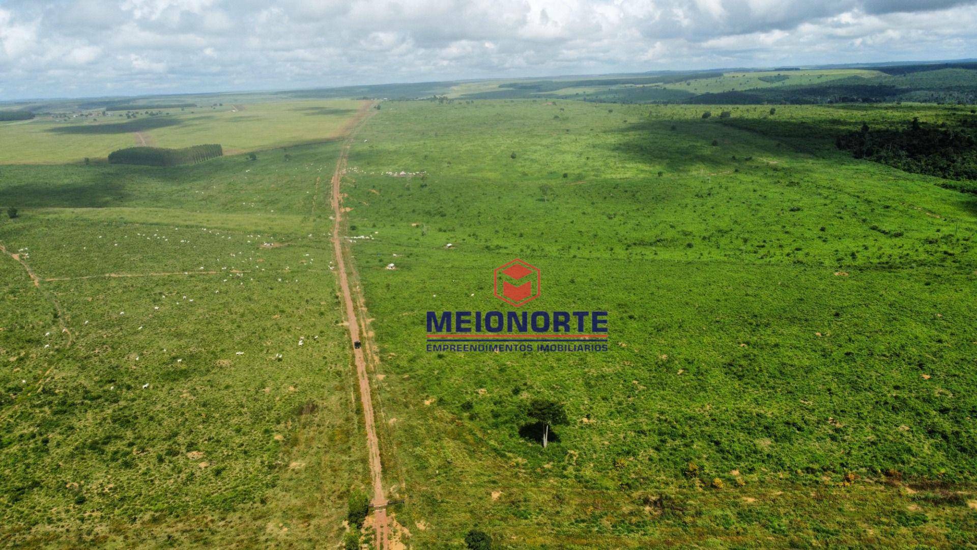 Fazenda à venda com 4 quartos, 4800000M2 - Foto 12