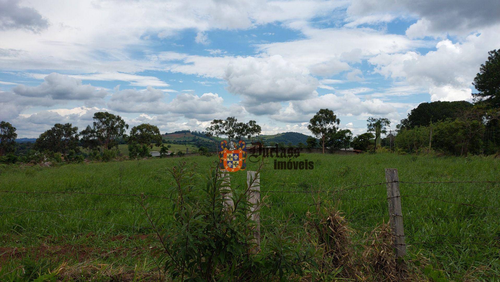 Terreno à venda, 60000M2 - Foto 4