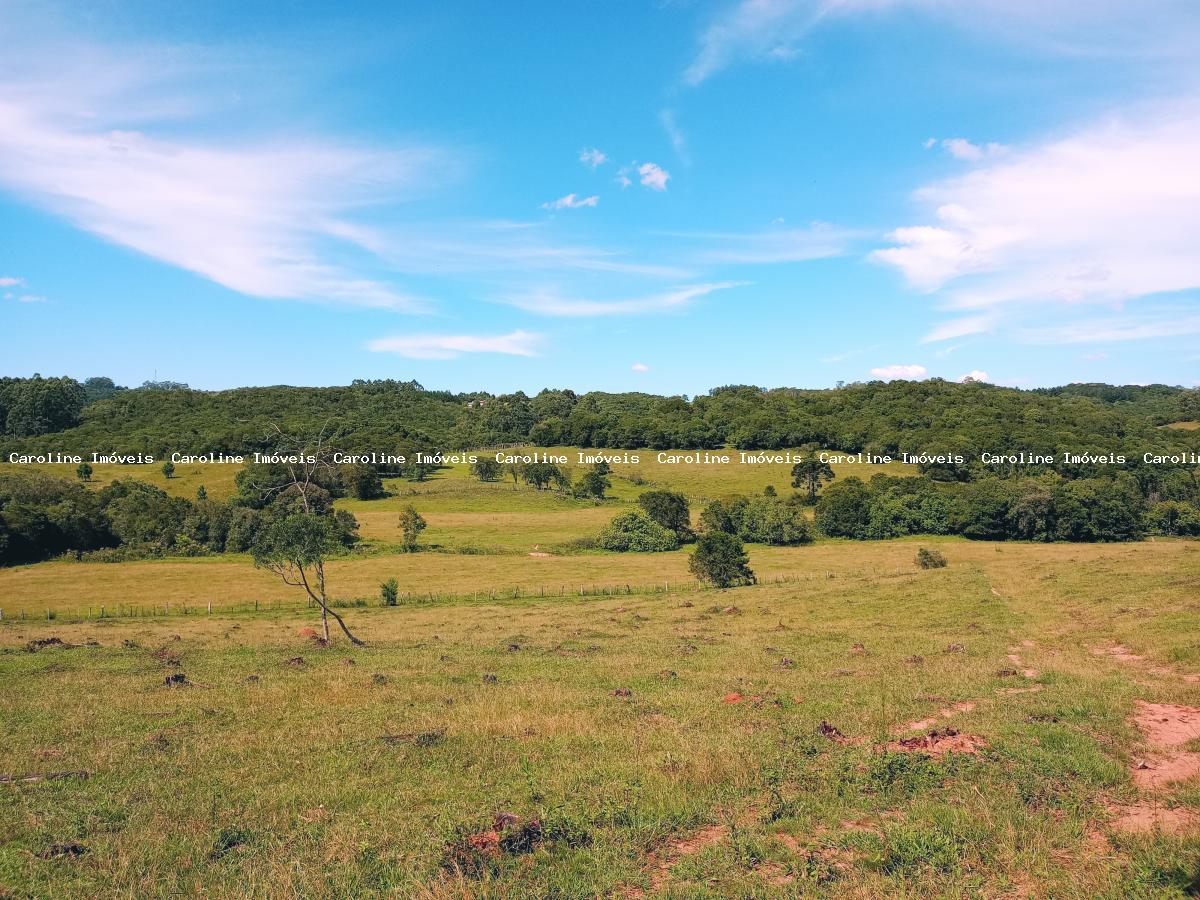 Fazenda à venda com 5 quartos, 625000m² - Foto 38