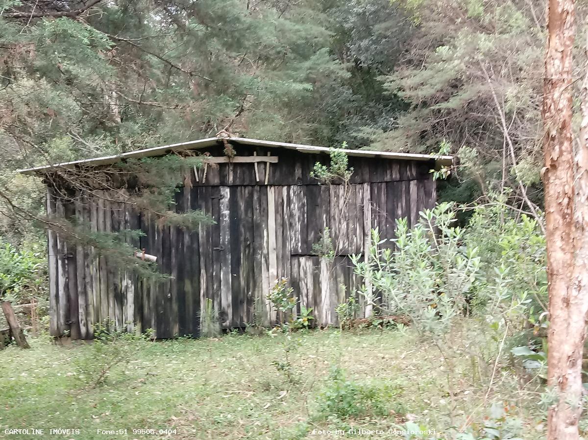 Fazenda à venda com 4 quartos, 160000m² - Foto 8