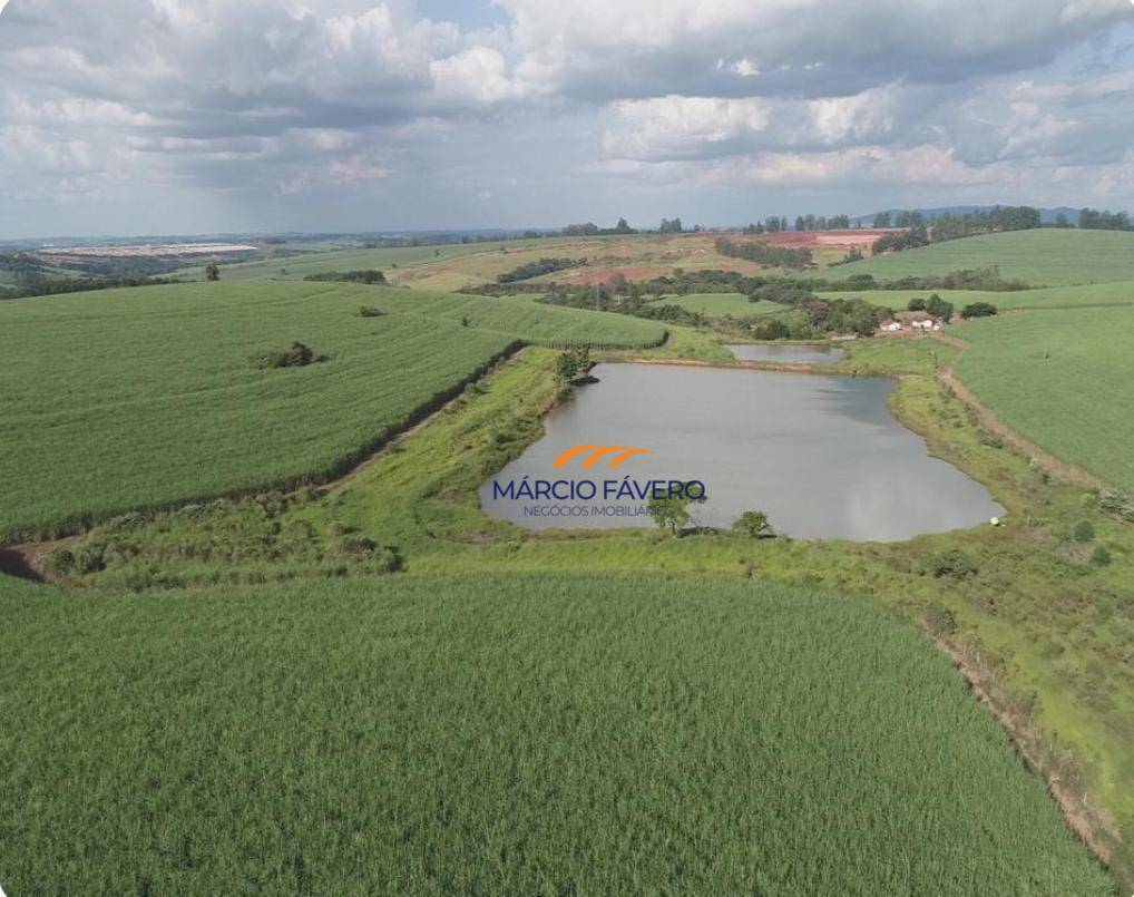 Fazenda-Sítio-Chácara, 307 hectares - Foto 1