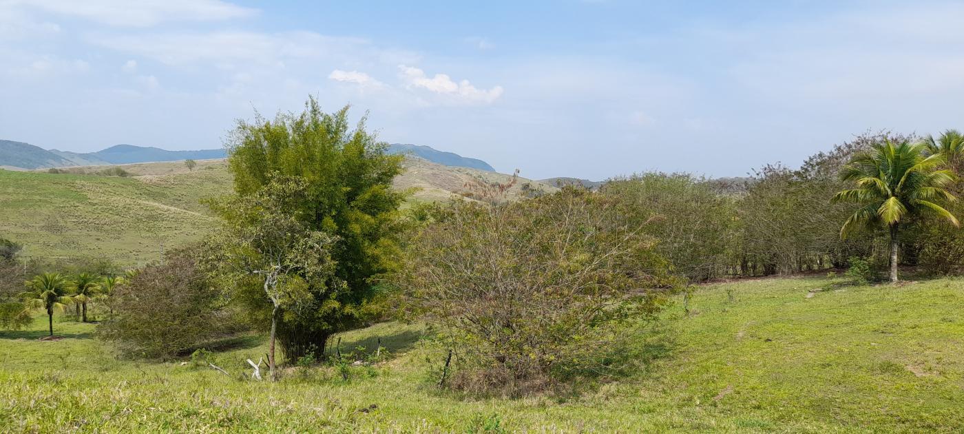 Fazenda à venda com 2 quartos, 20000m² - Foto 11