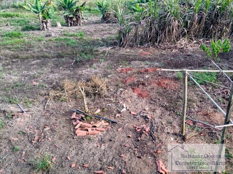 Fazenda à venda com 2 quartos, 2000m² - Foto 10