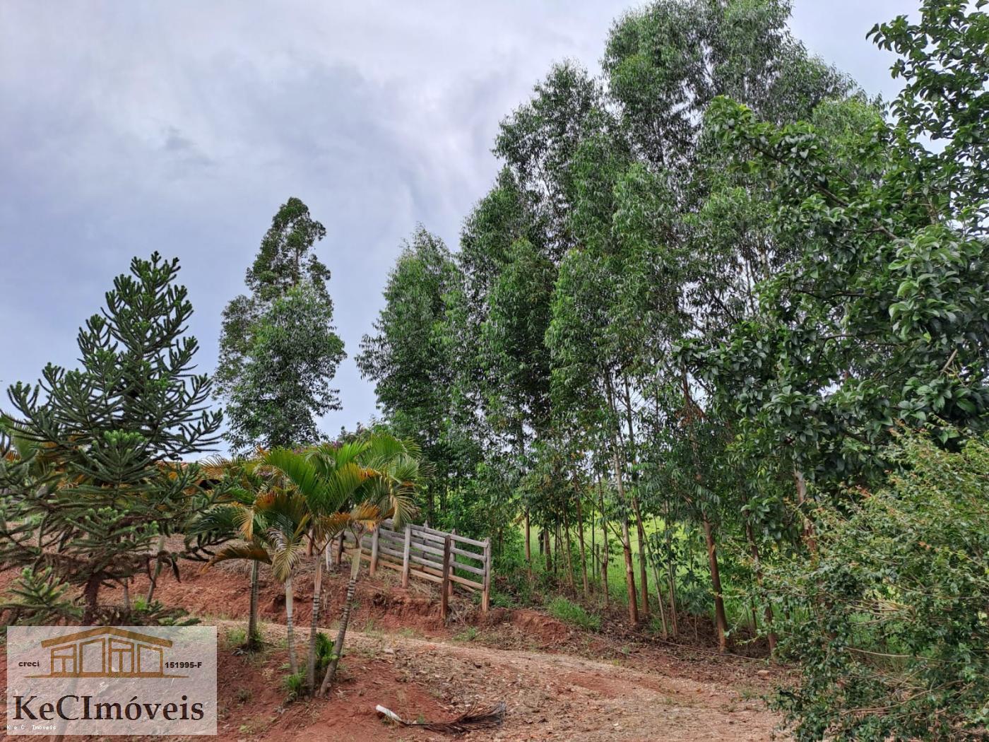 Fazenda à venda com 3 quartos, 12000m² - Foto 13