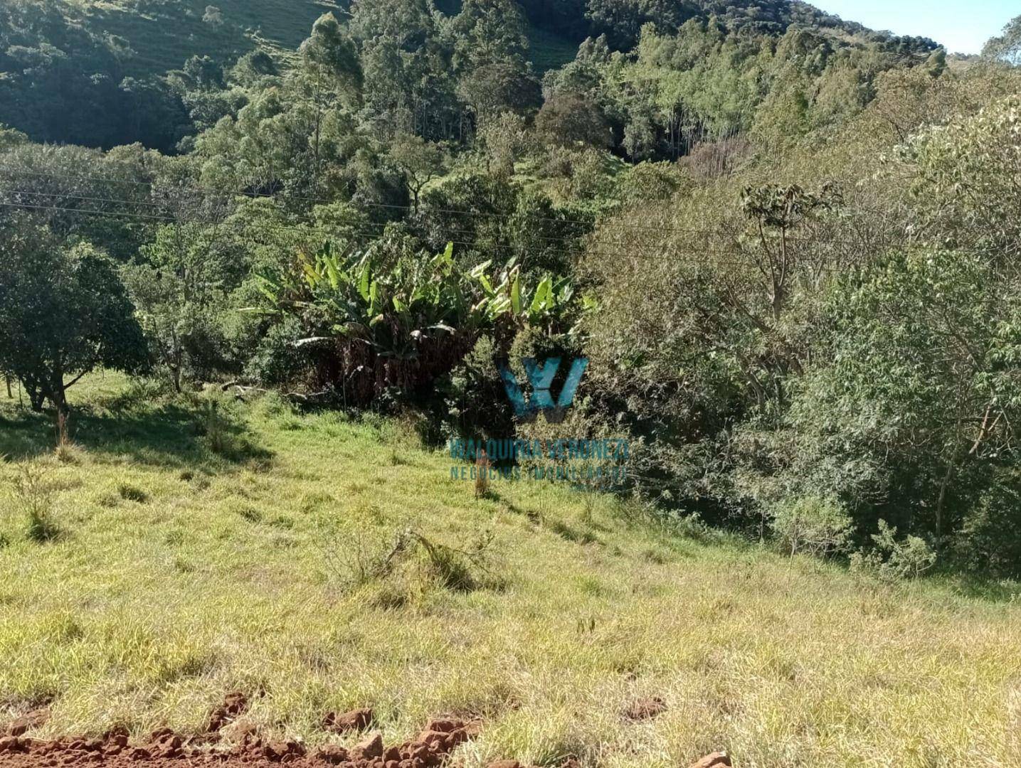 Terreno à venda, 4690M2 - Foto 3