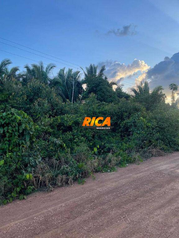 Fazenda, 100 hectares - Foto 5