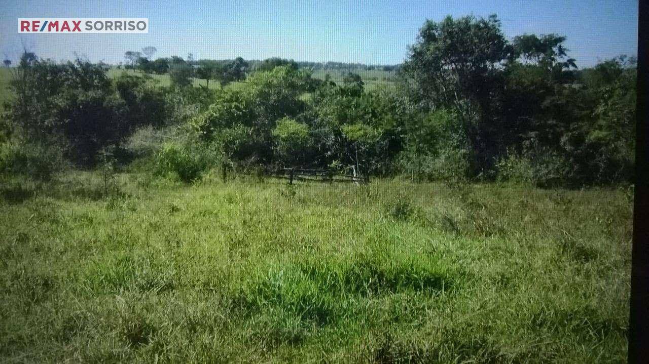 Fazenda à venda com 4 quartos, 242000M2 - Foto 11
