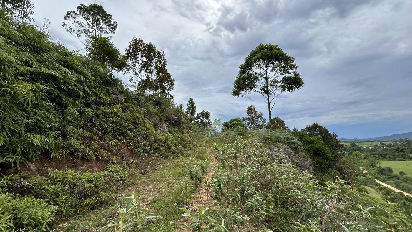 Terreno, 9 hectares - Foto 24