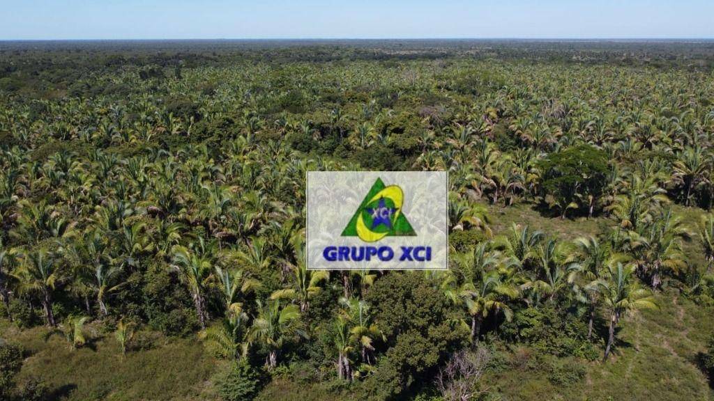 Fazenda à venda, 836000000M2 - Foto 21
