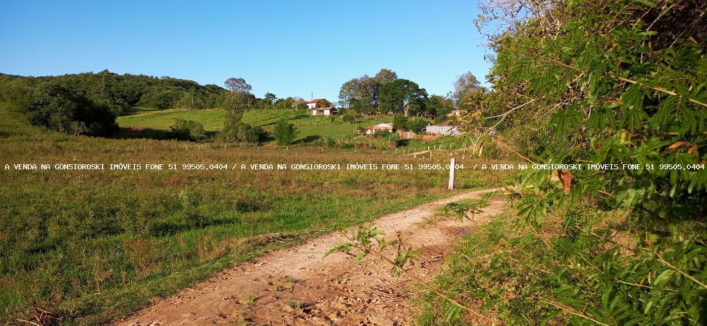 Fazenda à venda com 3 quartos, 55000m² - Foto 21
