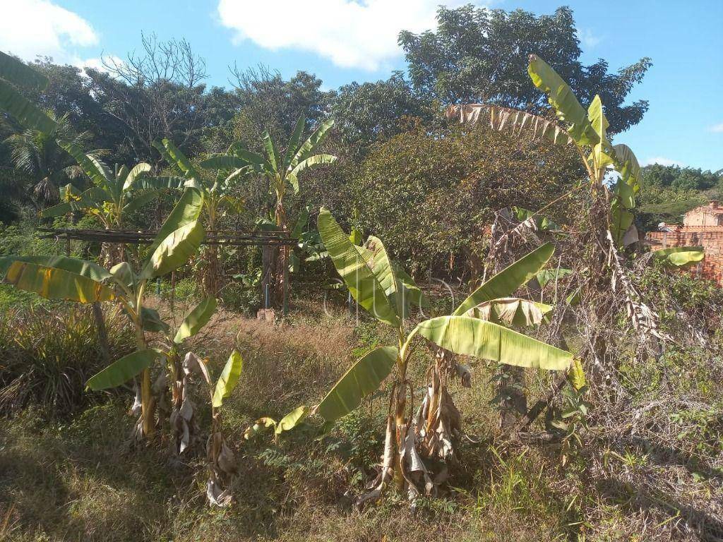 Terreno à venda, 2818M2 - Foto 15