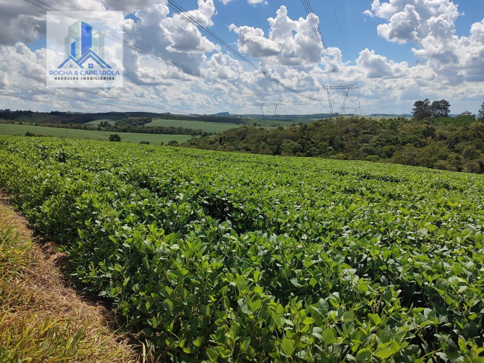 Fazenda à venda com 2 quartos, 726000m² - Foto 4