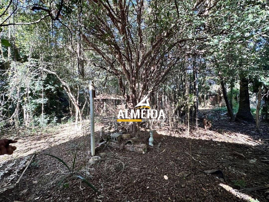 Chácara, 3 quartos, 3618 m² - Foto 5