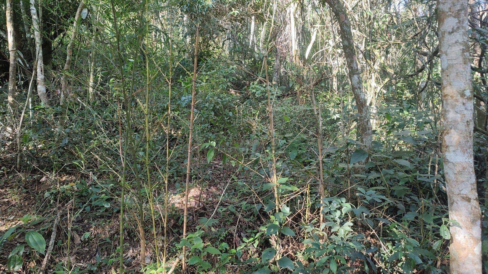 Terreno à venda, 214396M2 - Foto 14