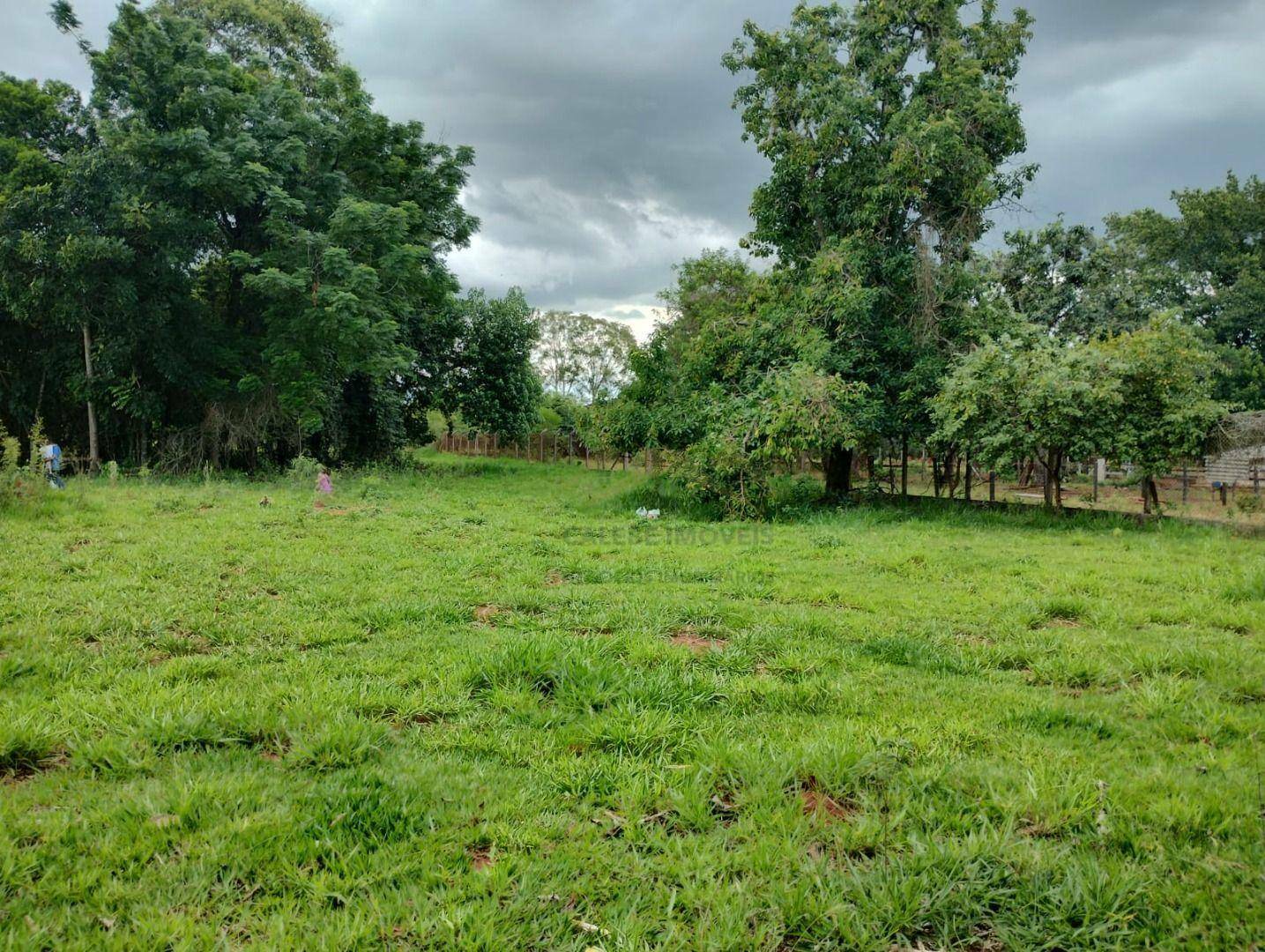 Terreno à venda, 2600M2 - Foto 1