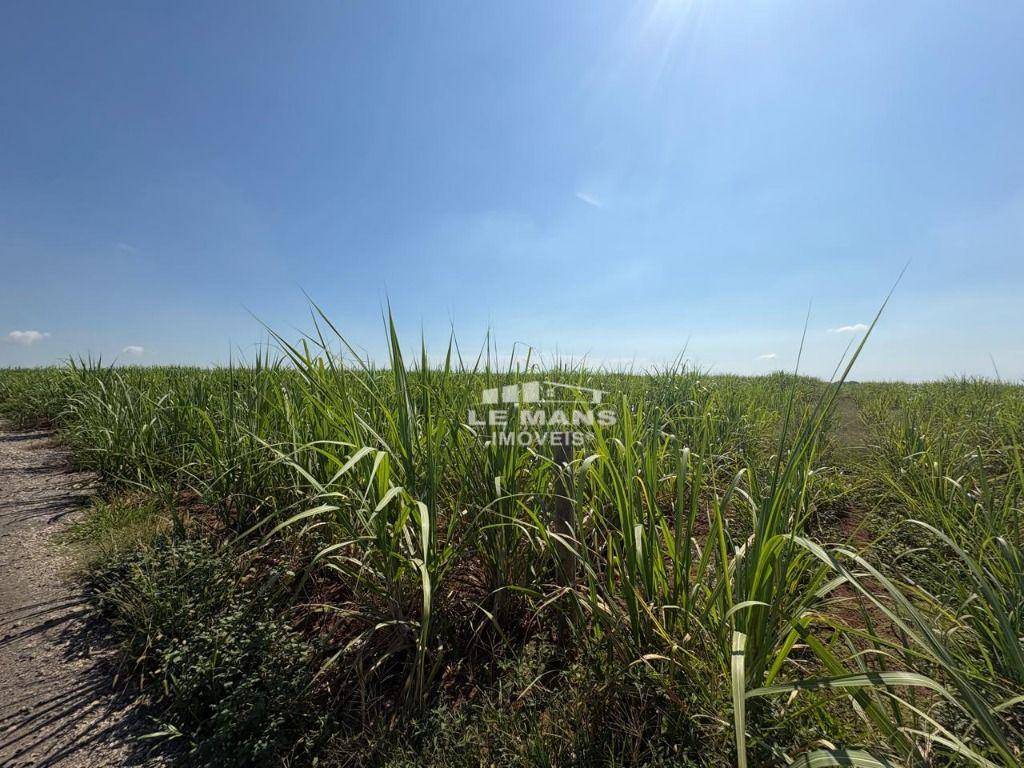 Terreno, 2 hectares - Foto 4