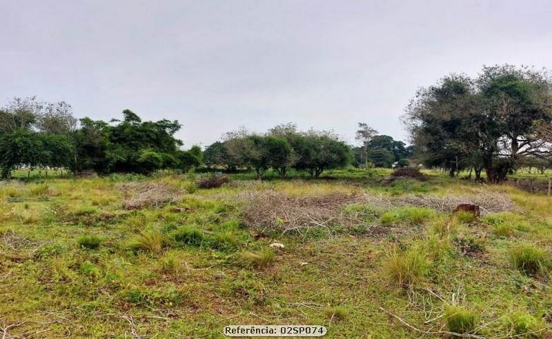 Fazenda à venda com 3 quartos, 41000m² - Foto 4