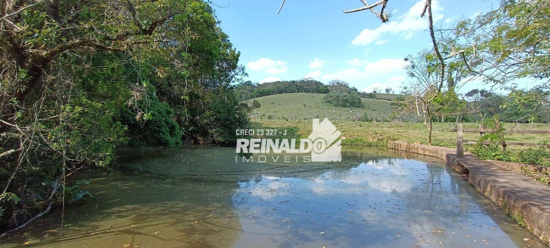 Haras e Área Rural Padrão à venda com 16 quartos, 2500m² - Foto 176