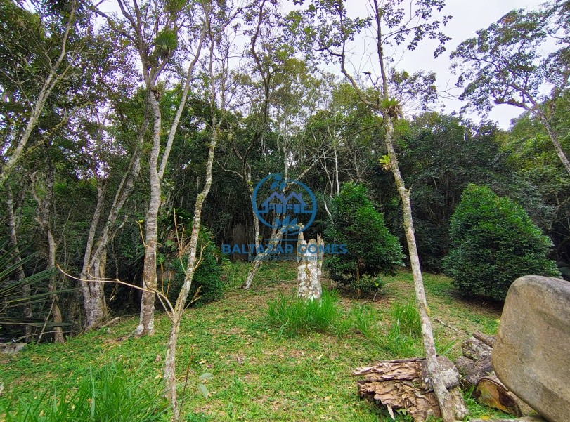 Chácara à venda com 3 quartos, 57000m² - Foto 47