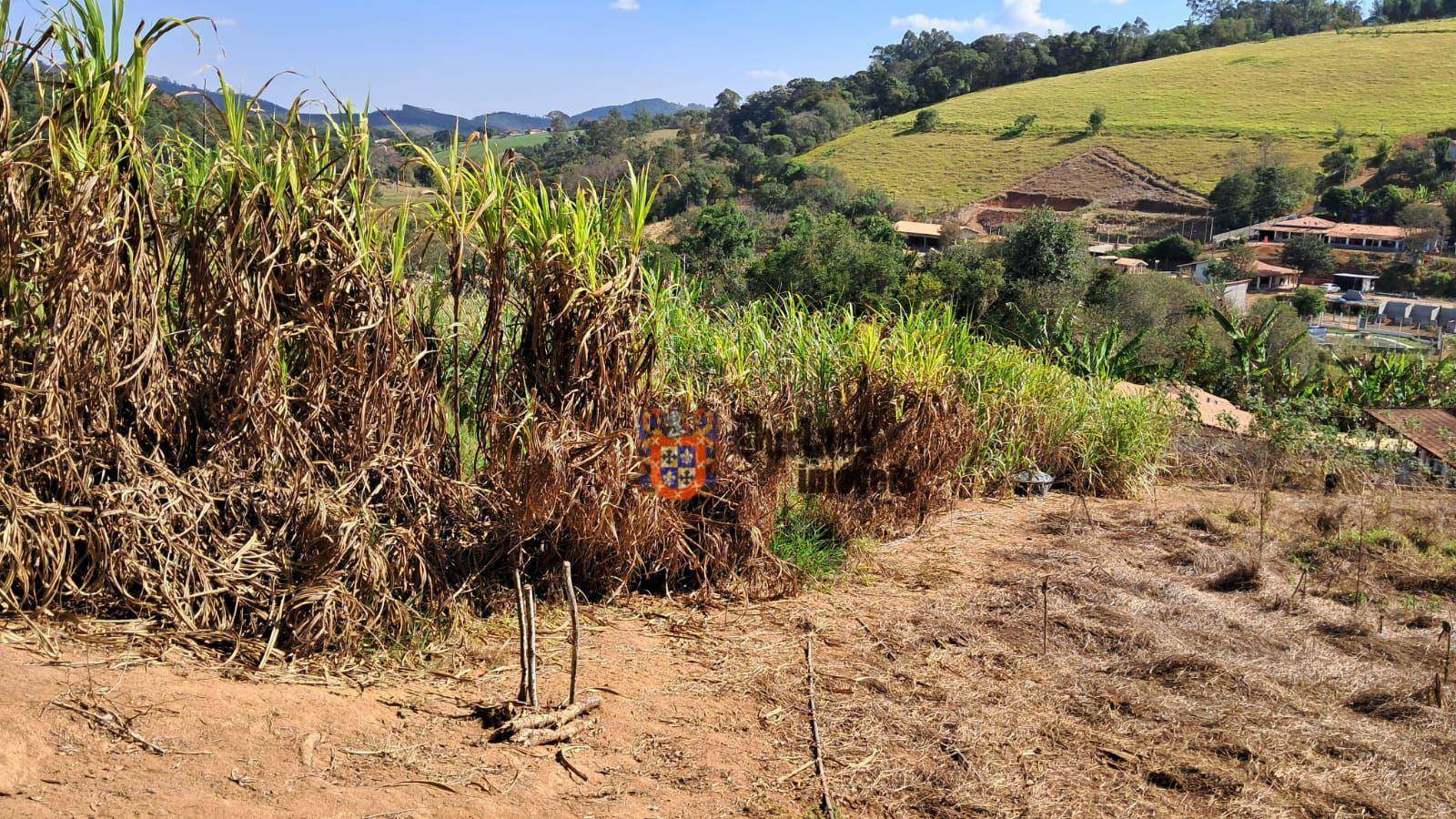 Sítio à venda com 4 quartos, 57000M2 - Foto 26