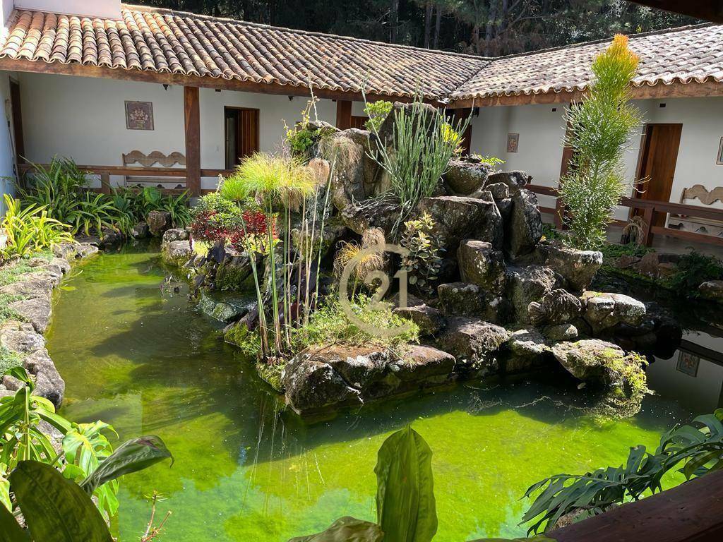 Haras e Área Rural Padrão à venda com 16 quartos, 2400m² - Foto 7