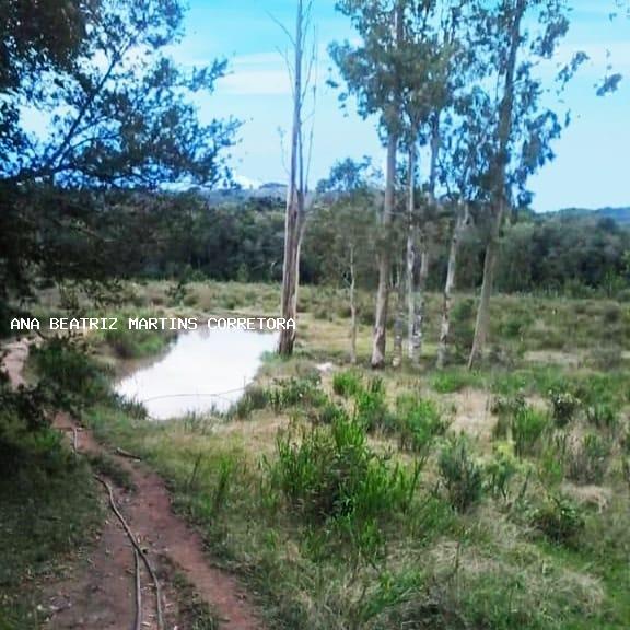 Fazenda à venda com 1 quarto, 50m² - Foto 5