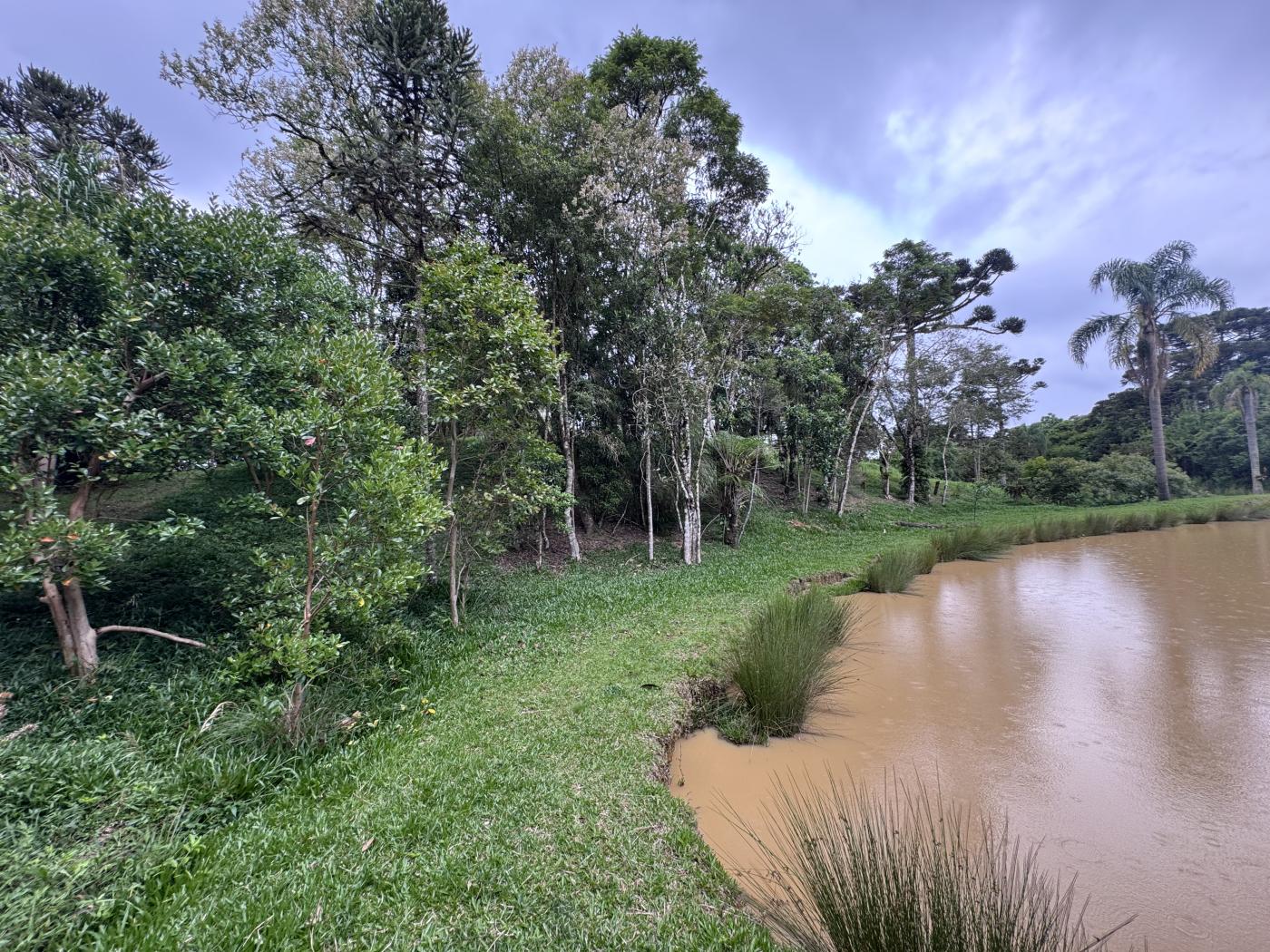 Chácara à venda com 4 quartos, 15000m² - Foto 55