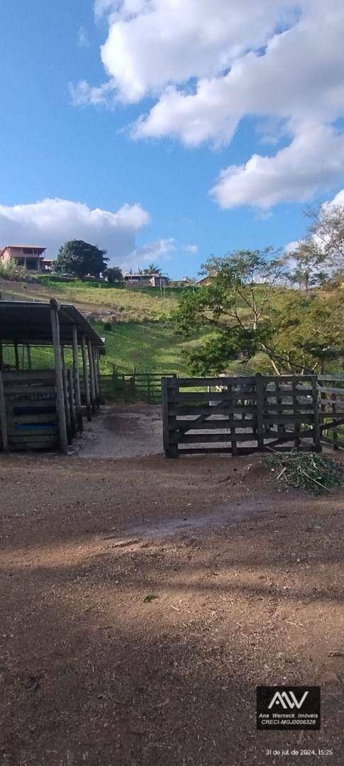 Chácara à venda com 5 quartos, 9000M2 - Foto 18