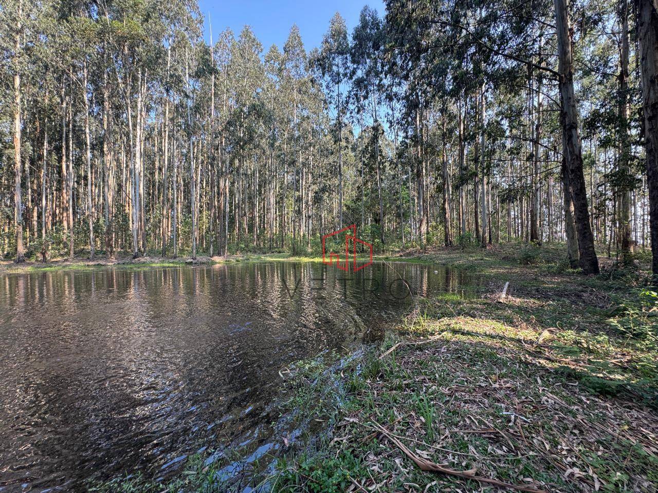 Sítio, 10 hectares - Foto 2