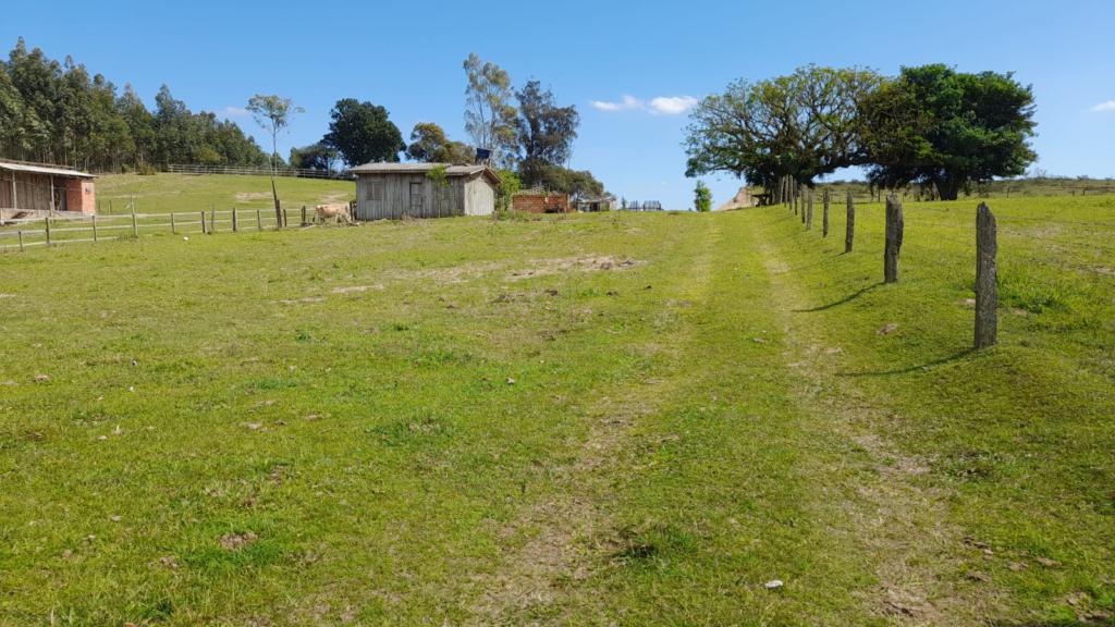 Fazenda à venda com 1 quarto, 45m² - Foto 11