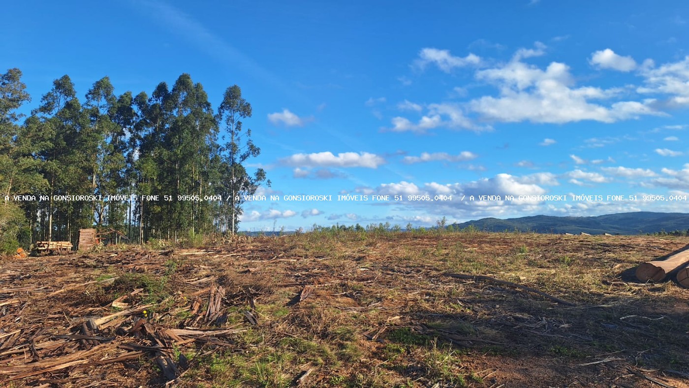 Sítio à venda com 2 quartos, 96000m² - Foto 11