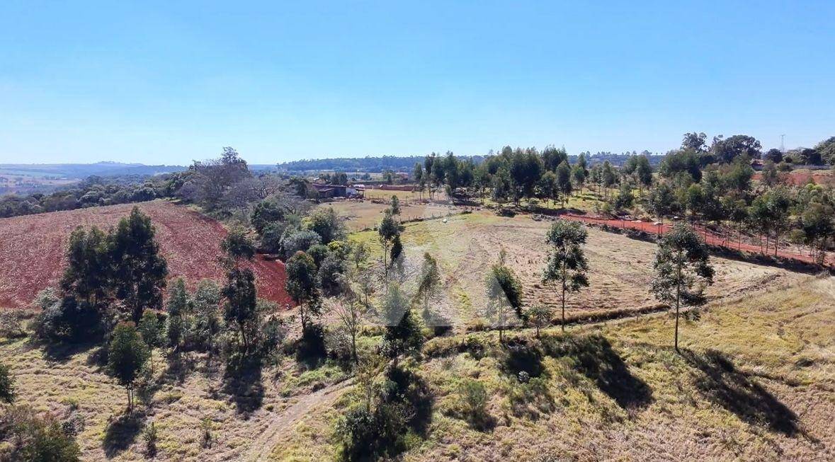 Terreno, 24 hectares - Foto 3