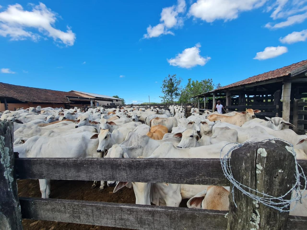 Fazenda à venda, 48400m² - Foto 37
